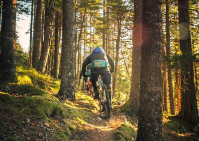 Mountain Biking Laois